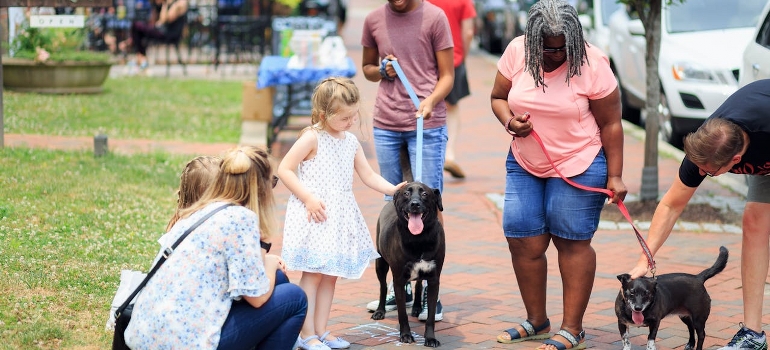pet community in Willow Grove