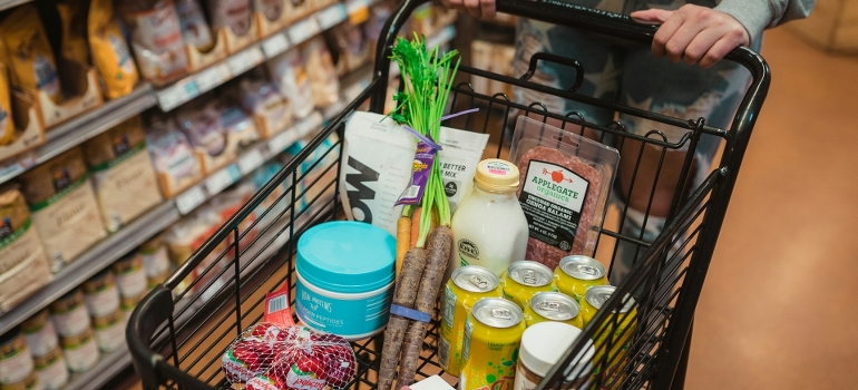 shopping groceries